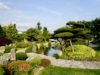 harmonisch gestaltetes Gartenparadies