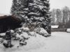 Winterlandschaft